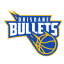 Bullets