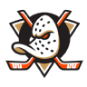 Ducks
