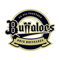 Orix Buffaloes